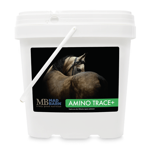 Mad-Barn-Amino-Trace-5-Kg-scaled-1