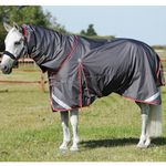 Buster-50---Grey---Main-Standing---Webx900