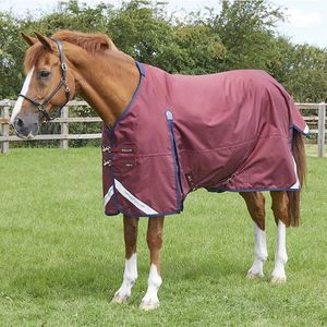 Premier Equine Buster Zero 0g Original Turnout Rug- Burgundy