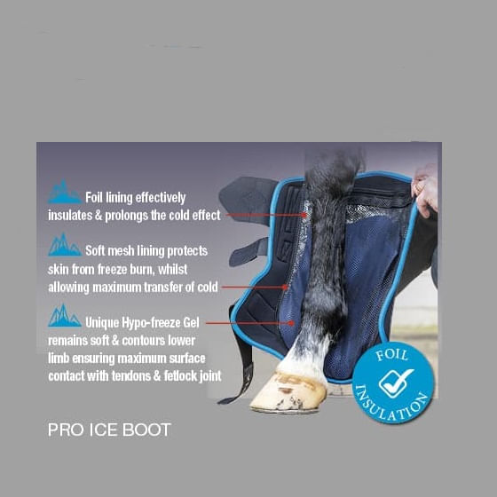 ProIcee