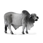 corral-pals-grey-brahman-bull