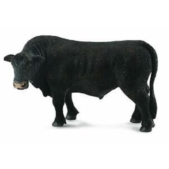 corral-pals-black-angus-bull