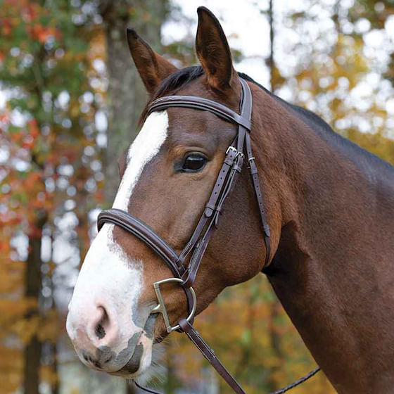Shires Rubber In Hand Bit, Brass Rings