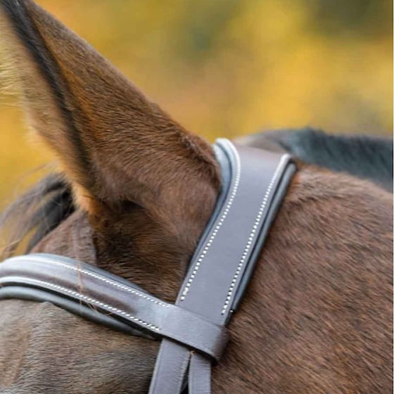 Shires James Sterling Rolled In-Hand Bridle - Havana Brown - Pony