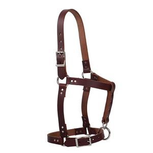 Weaver Riveted Leather Weanling Halter - Canyon Rose