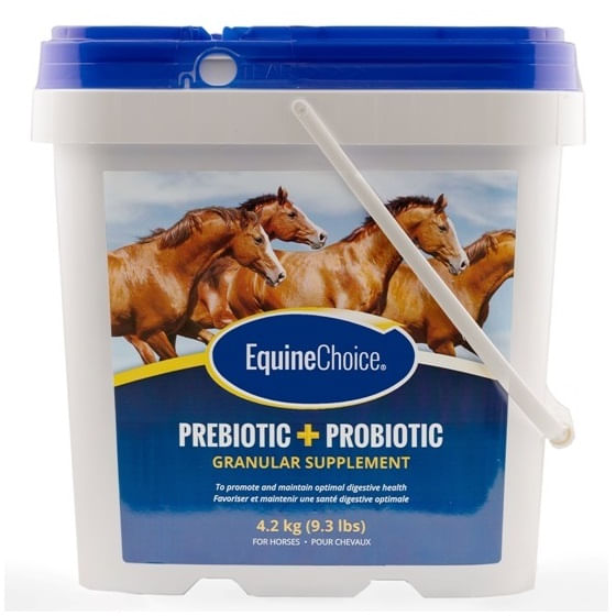 Best Pre And Probiotics for Horses 