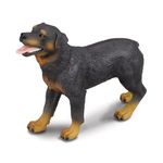 corral-pals-rottweilier