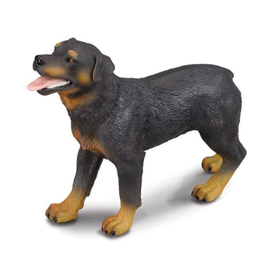 corral-pals-rottweilier