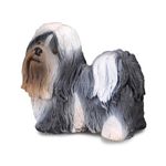 corral-pals-shih-tzu