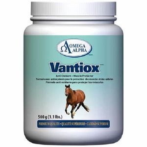 Vitamins & Minerals Supplement – Omega Alpha Vantiox