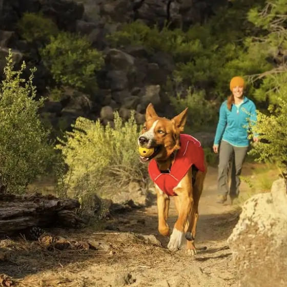 ruffwear ball