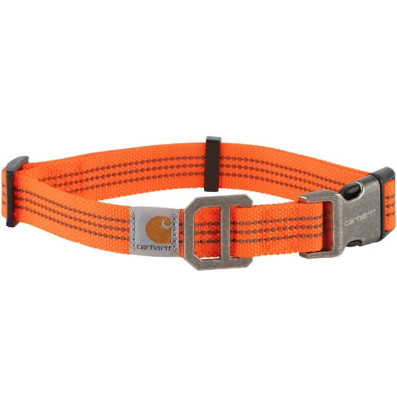 Carhartt-P0000343-801