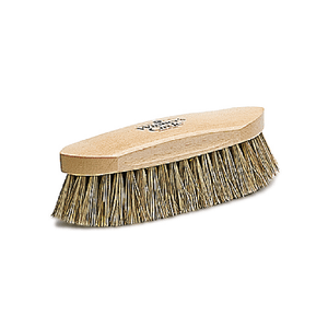 Grooming Tools - Winner's  Circle Union fiber Champion Dandy brush - Natural