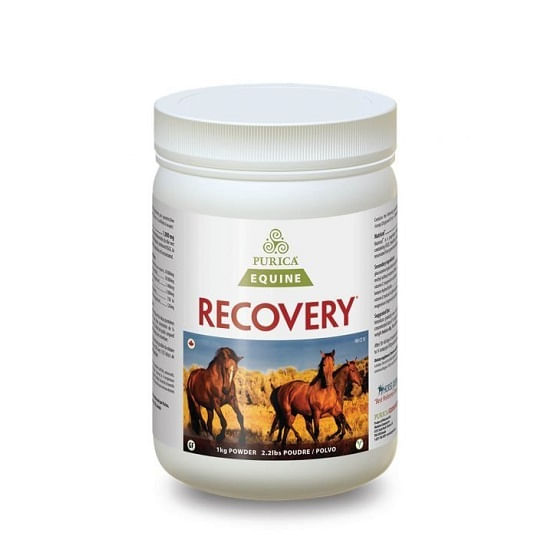 Equine-Recovery-1kg-US-510x729