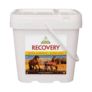 Overall Health Supplement - Purica Recovery Equine Extra Strength - 5kg