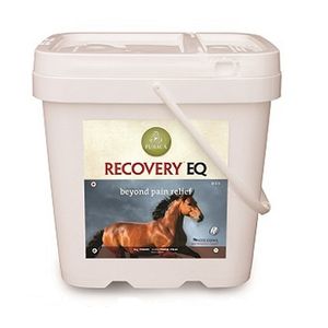Overall Health Supplement - Purica Recovery Equine - 5kg