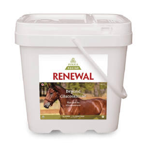Joint Supplement – Purica Renewal - 5kg