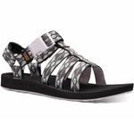 Teva-1106854-front