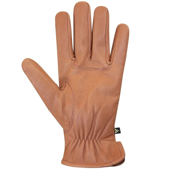 Auclair-6G048-Cognac-palm