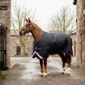 Amigo Bravo XL Rain Sheet - Navy/Red