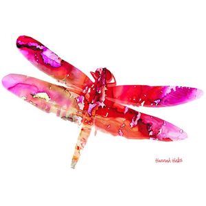 Hannah Hicks Art Cards - Dragonfly