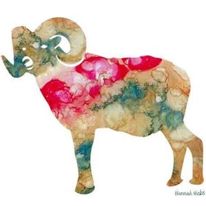 Hannah Hicks Art Cards - Sheep