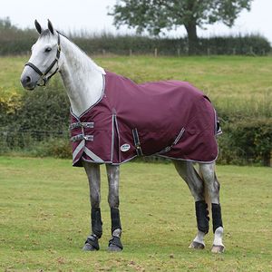 WeatherBeeta ComFiTec Plus Dynamic II 100g Turnout Blanket - Burgundy/Grey