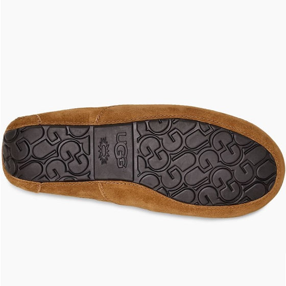 Ugg M Ascot Slipper Chestnut Chestnut - Welcome to Apple Saddlery |  www.applesaddlery.com | Family Owned Since 1972