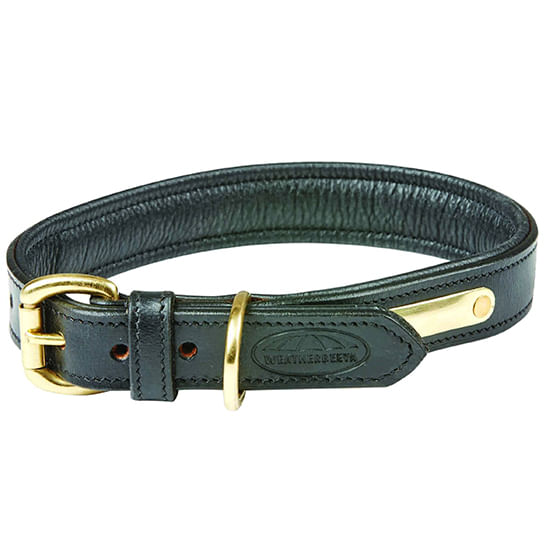 Dog collar 2025 black leather