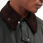 COLLAR