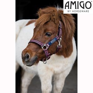 Amigo Pony Halter - Berry/Fuschia