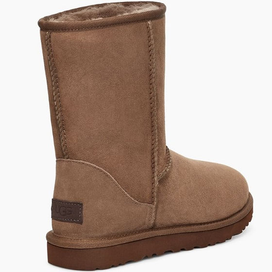 ugg hickory