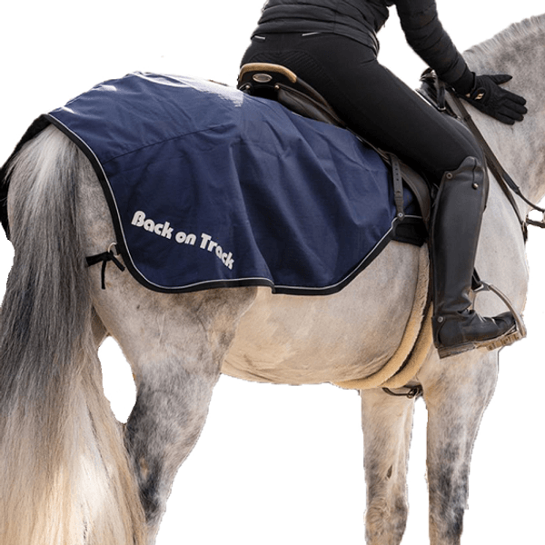 Arika Waterproof Quarter Sheet Navy Horse