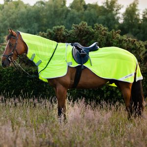 Amigo Flyrider - Fluorescent