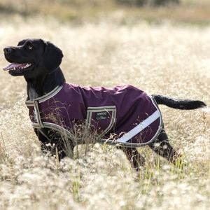 Amigo Ripstop Waterproof Dog Coat - Fig/Navy & Tan