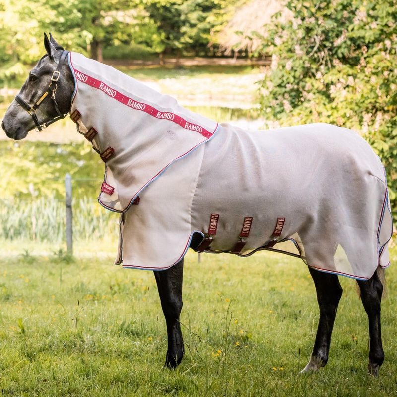 Preventing Outdoor Rug Flyaways. HometoCottage