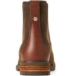 Ariat-10018520-Java-back