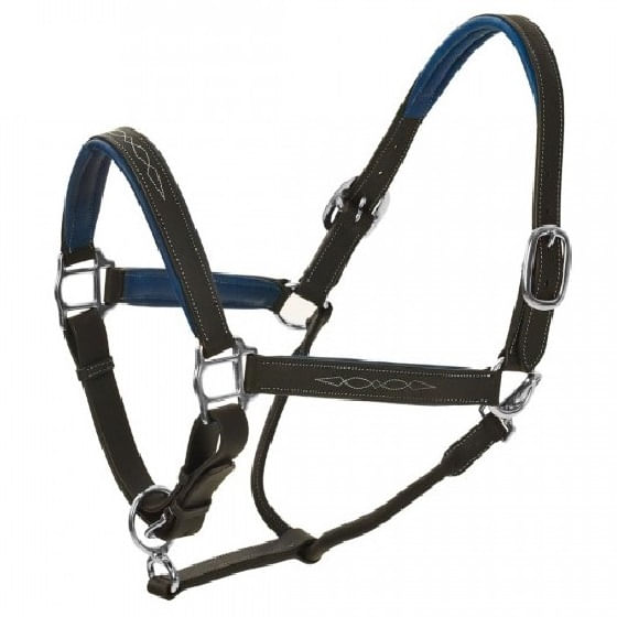 Richtan-halter_Black_Blue