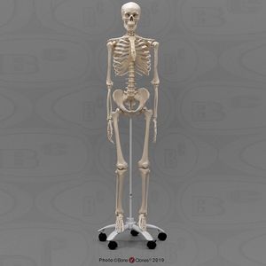 Bone Clones Human Economy Skeleton Vinyl