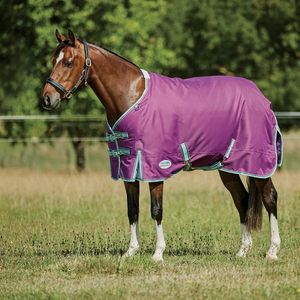 Weatherbeeta Premier Pony Standard Neck  220g Turnout - Purple/Navy/Mint