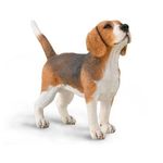 corral-pals-beagle