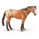 corral-pals-appaloosa-stallion