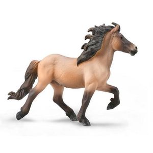 Corral Pals Icelandic Stallion