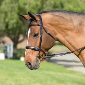 Camelot Wide Fancy Square Raised Bridle - Brown