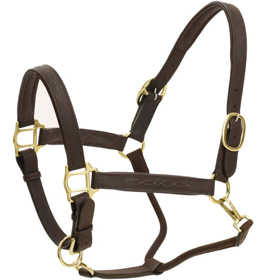 HDR Fancy Padded Leather Halter