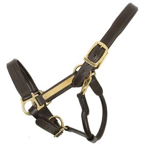 Amigo Padded Leather Halter - Brown