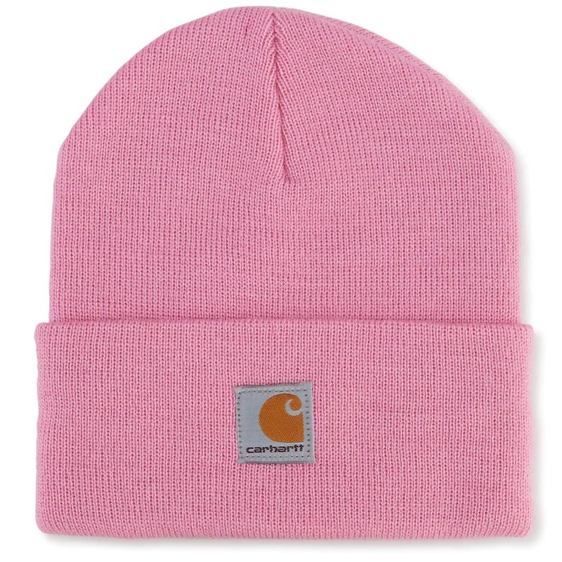 CARHARTT_CB8905-P182