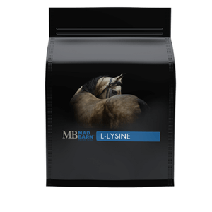 Overall Health Supplement - Mad Barn Lysine