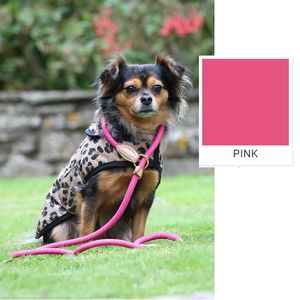 Shires Digby & Fox Reflective Slip Lead - Pink