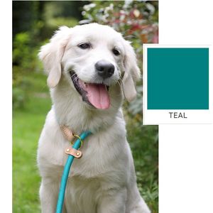 Shires Digby & Fox Reflective Slip Lead - Teal